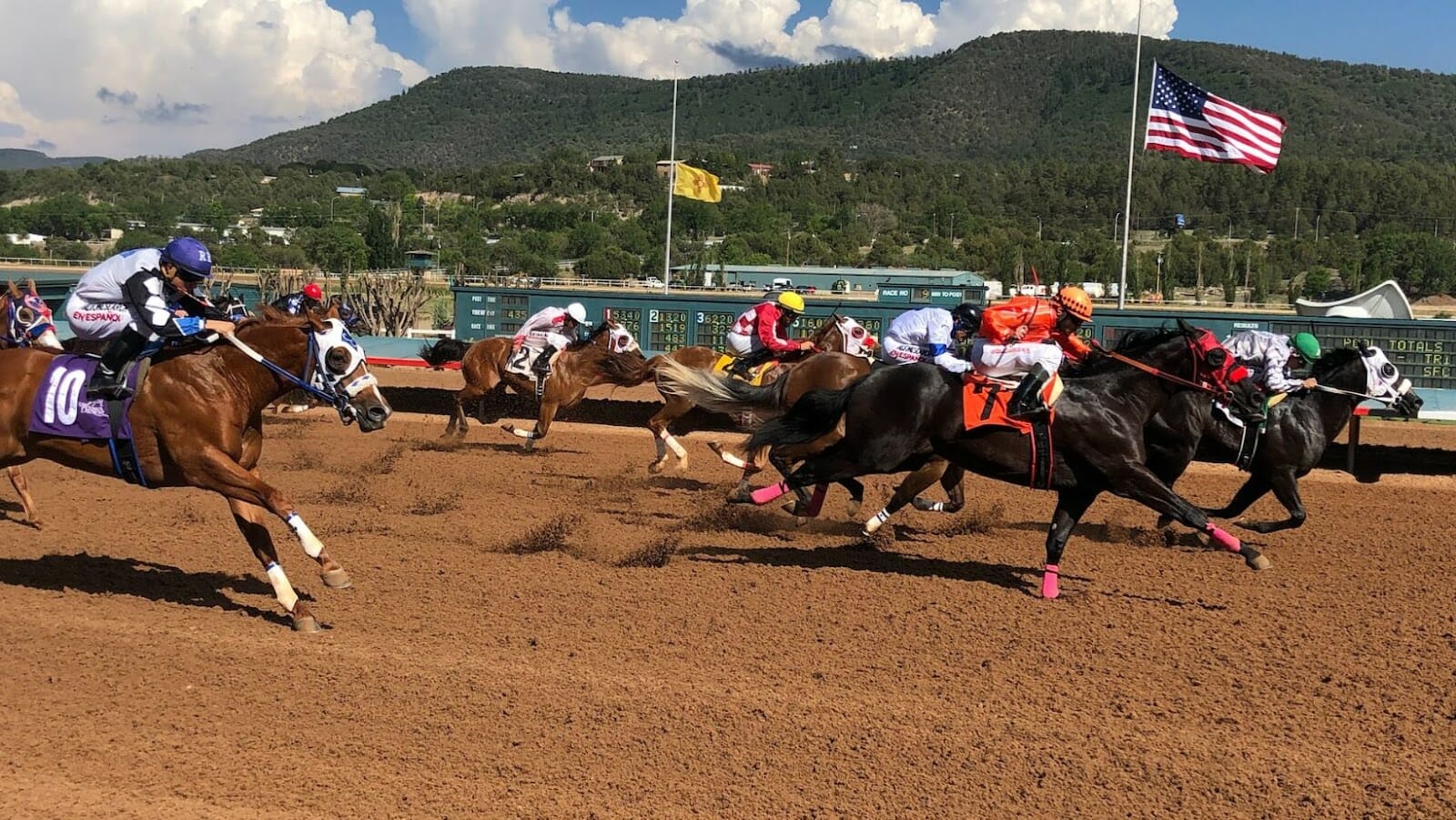 What Are The Most Common Horse Racing Wager Types? The Hake