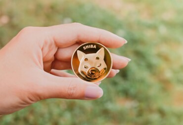 shiba coin yorum