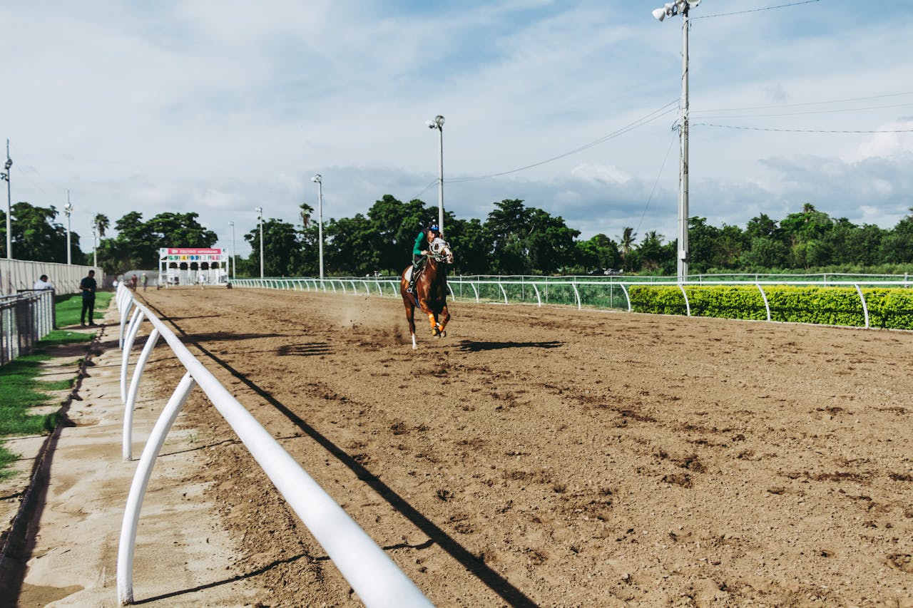 Belmont Stakes Contenders Everything You Need To Know The Hake